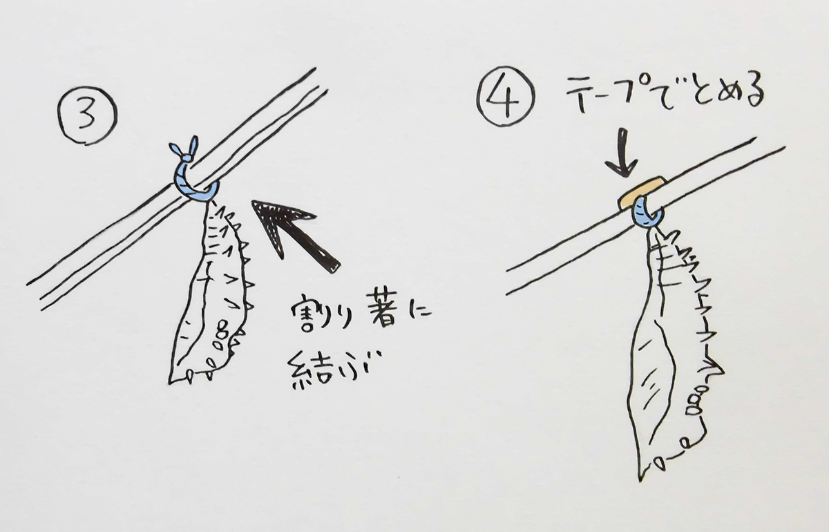 割り箸に結んで、テープでとめる